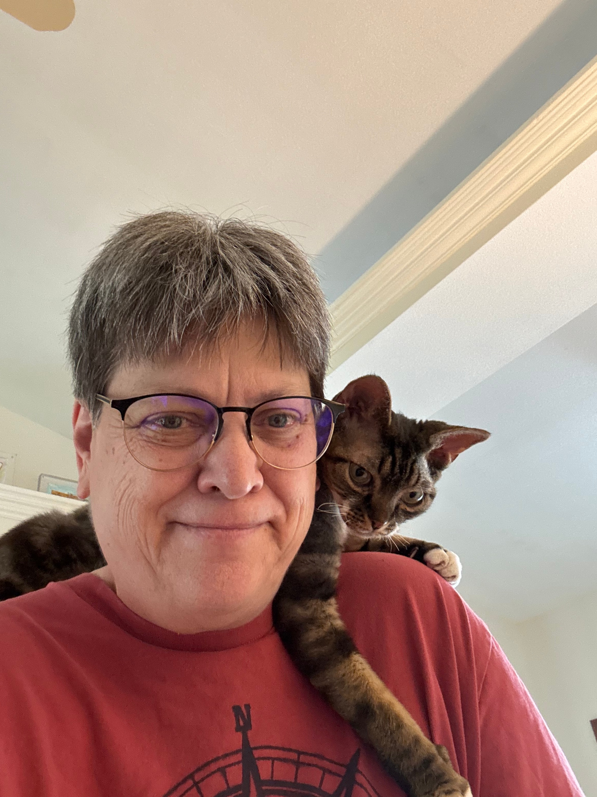 K.A. Moll with Max the cat draped over her shoulder